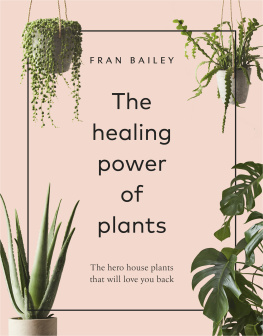 Bailey - The healing power of plants: the hero house plants that love you back