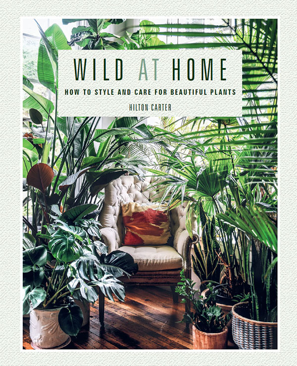 WILD AT HOME WILD AT HOME HOW TO STYLE AND CARE FOR BEAUTIFUL PLANTS HILTON - photo 1