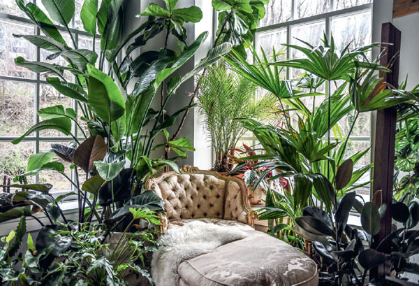 A view of the bedroom corner at my studio Jungle by the Falls JBTF The - photo 10