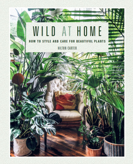 Carter - Wild at home: how to style and care for beautiful plants