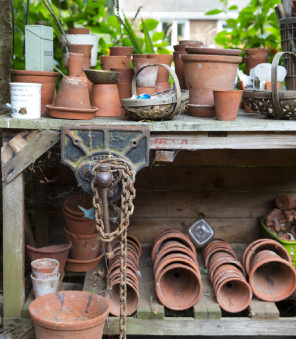 WHY SHOULD WE GARDEN WITH CONTAINERS I can think of four great reasons - photo 4