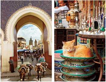 ABOVE LEFT Looking through the Bab Bou Jeloud into the Medina ABOVE RIGHT A cat - photo 3