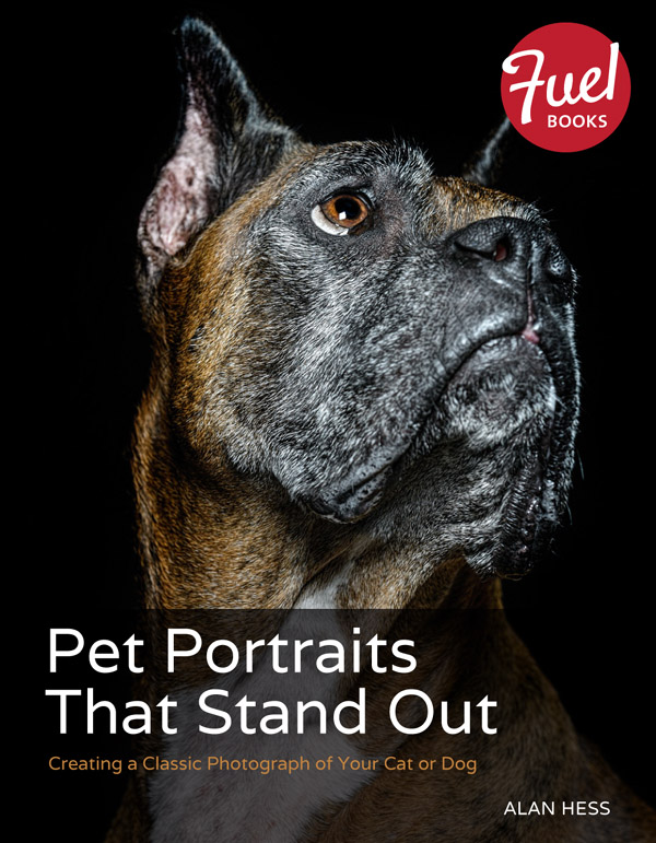 Pet Portraits That Stand Out Creating a Classic Photograph of Your Cat or Dog - photo 2