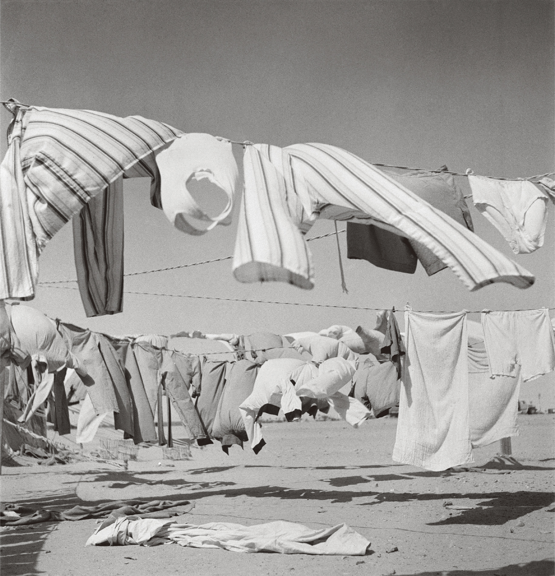 Desert Dhobi laundry dries at a British air base Western Desert 1942In 1942 - photo 5