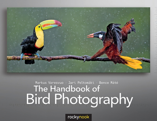 The Handbook of Bird Photography The Handbook of Bird Photography Markus - photo 1