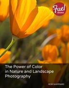Rob Sheppard The Power of Color in Nature and Landscape Photography