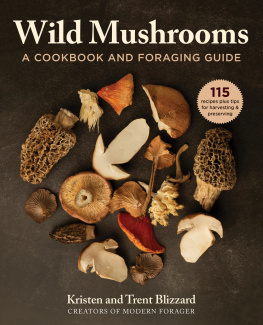 Kristen Blizzard - Wild Mushrooms: A Cookbook and Foraging Guide