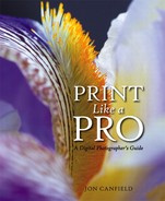 Jon Canfield Print Like a Pro: A Digital Photographers Guide