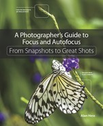 Alan Hess - A Photographer’s Guide to Focus and Autofocus: From Snapshots to Great Shots