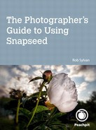 Rob Sylvan - The Photographer’s Guide to Using Snapseed