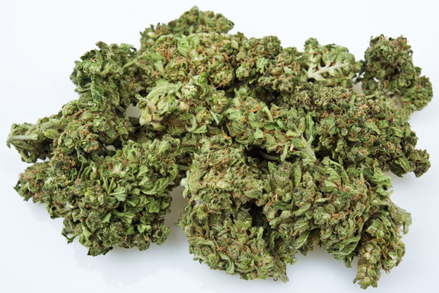 Strain Afghani Bullrider aka Bull Rider Dominance 100 indica - photo 10