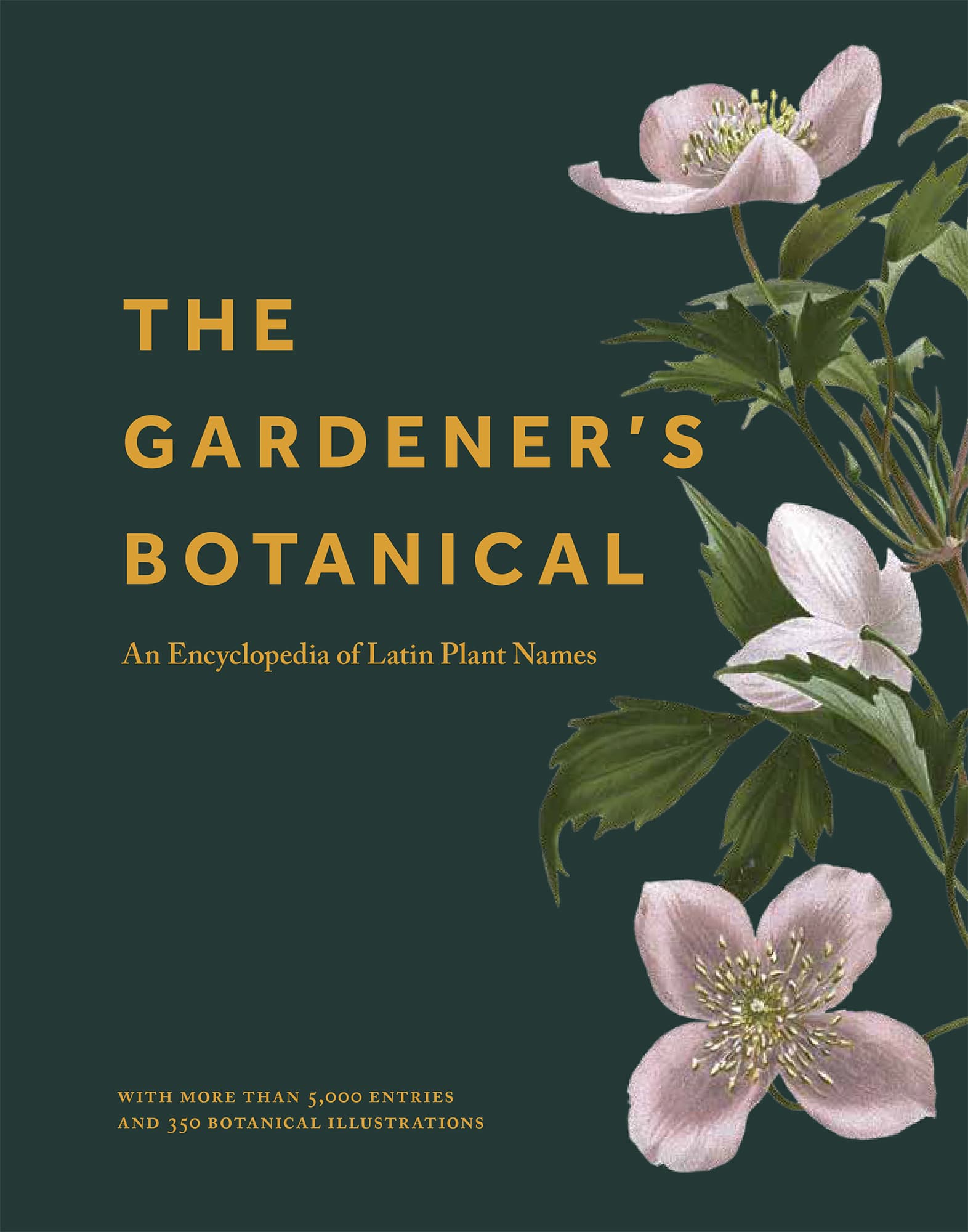 The Gardeners Botanical An Encyclopedia of Latin Plant Names ROSS BAYTON - photo 1