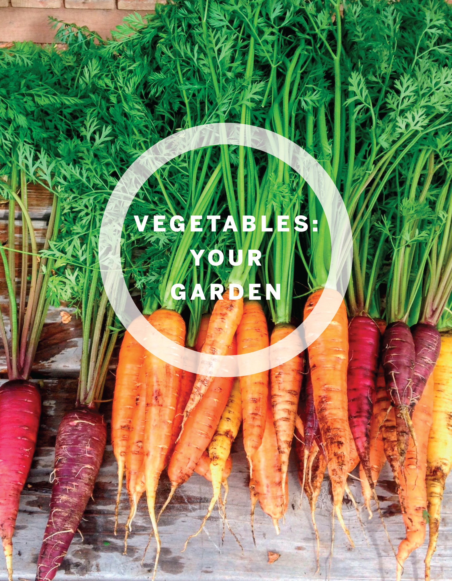 Thinking of starting a vegetable garden Whether youre a newbie or a pro - photo 13