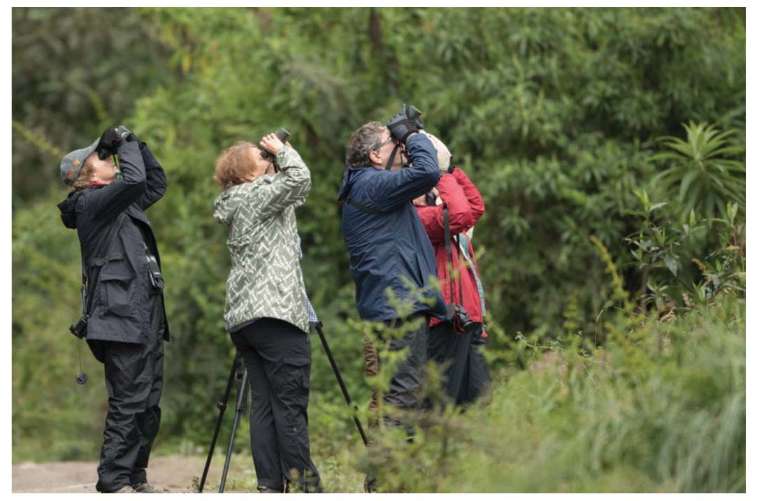 Birders searching for high-altitude rarities in Ecuador I shoot in RAW format - photo 4