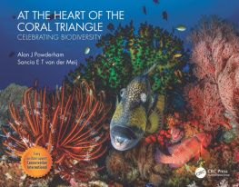 Alan J Powderham At the Heart of the Coral Triangle: Celebrating Biodiversity