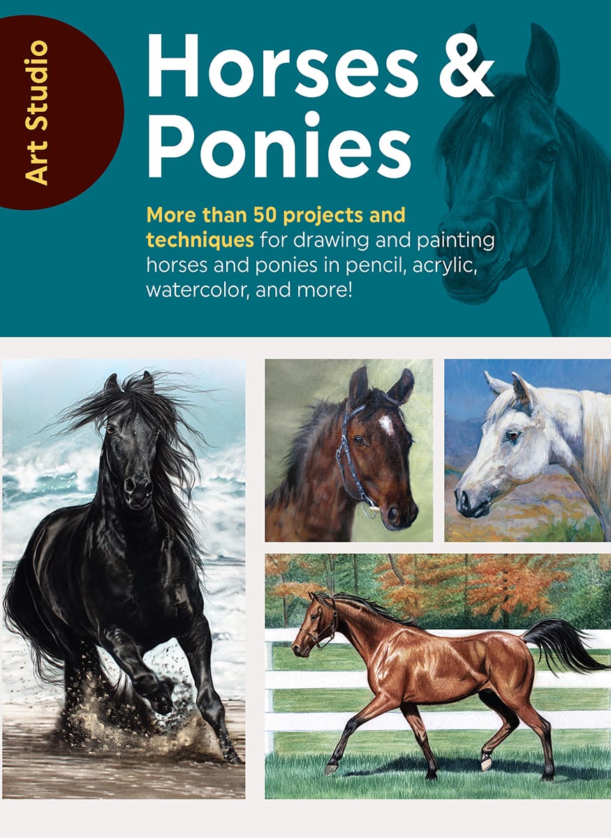 Art Studio Horses Ponies More than 50 projects and techniques for drawing - photo 1