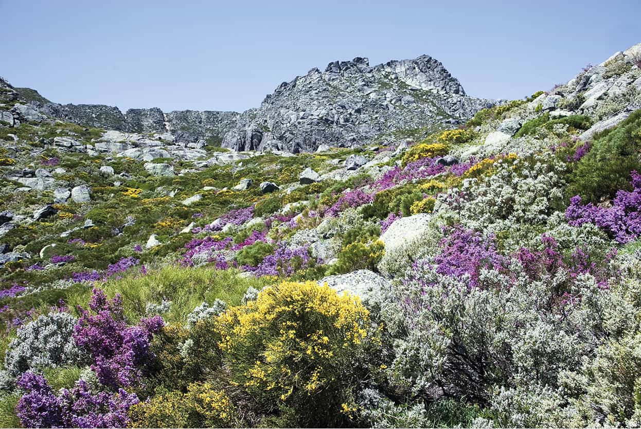 Top Attraction 9 Shutterstock Serra da Estrela Hikes amid fantastic scenery in - photo 12