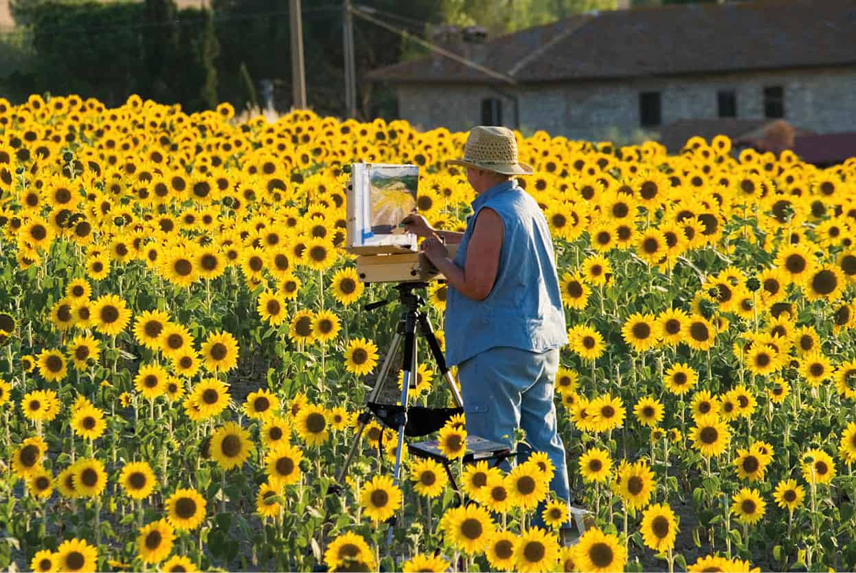 Top Attraction 4 Getty Images Tuscany Cypresses sunflowers hill towns and - photo 7