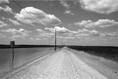 Heading out in south Louisiana Once I began exploring New Orleans however - photo 3