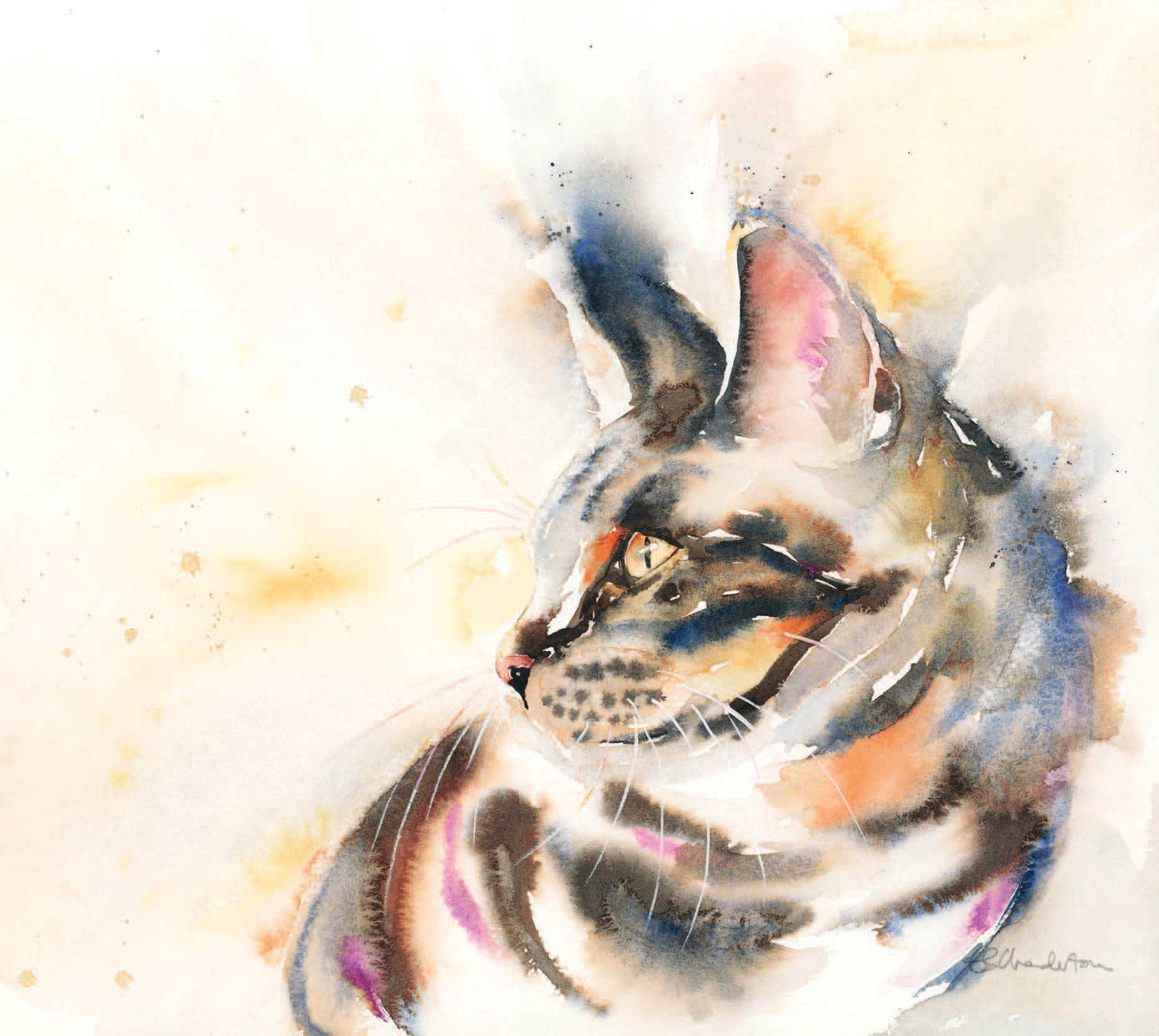 Tabby 3545cm watercolour on paper A domestic moggy is as amazing as a wild - photo 5