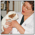 By Lowell Ackerman DVM DACVD Become your dogs healthcare advocate and a - photo 8