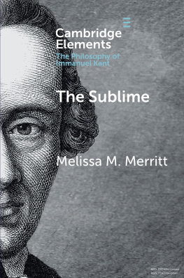 Melissa McBay Merritt - The Sublime