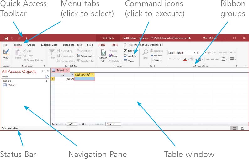 The Table window provides two possible views of the database Datasheet View - photo 14