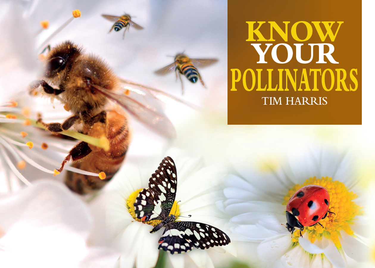 Know Your Pollinators Old Pond Publishing is an imprint of Fox Chapel - photo 1