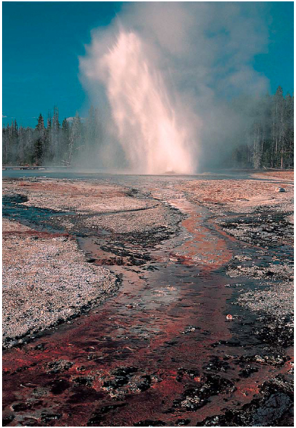 This viewpoint of Daisy Geyser was chosen because of the colorful runoff stream - photo 2