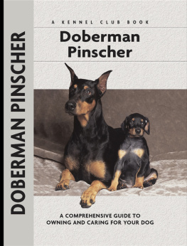 Cloidt - Doberman Pinscher