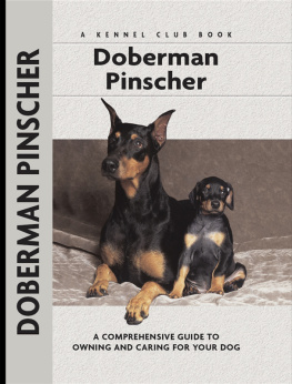 Cloidt Doberman Pinscher