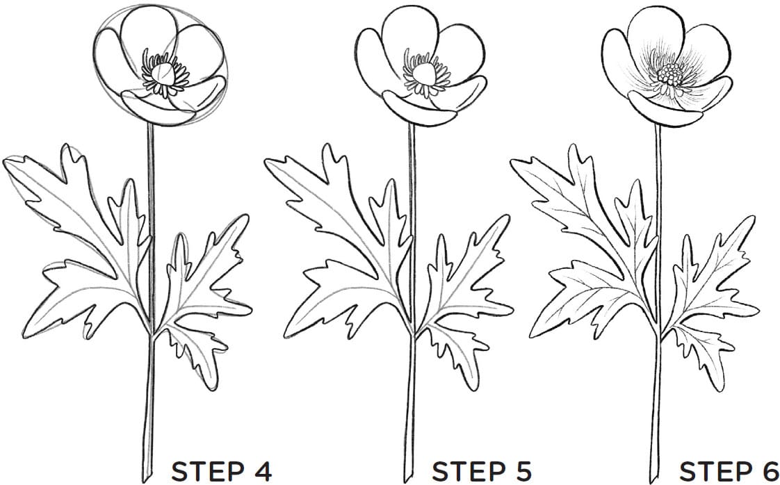 TIPS FOR BETTER LINE CONTROL All of the drawings in this book are line - photo 5