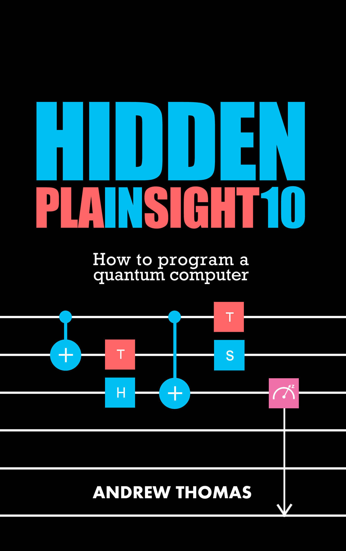 HIDDEN IN PLAIN SIGHT 10 How To Program A Quantum Computer Andrew Thomas - photo 1