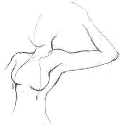 One more thing I wanted to cover regarding the torso is how to draw it if an - photo 6