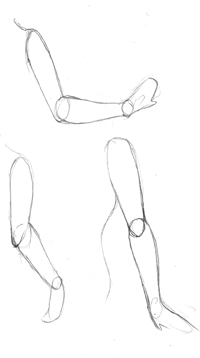 One more thing I wanted to cover regarding the torso is how to draw it if an - photo 7