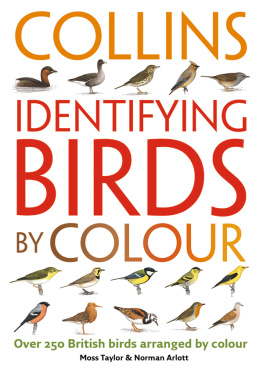 Arlott Identifying Birds by Colour