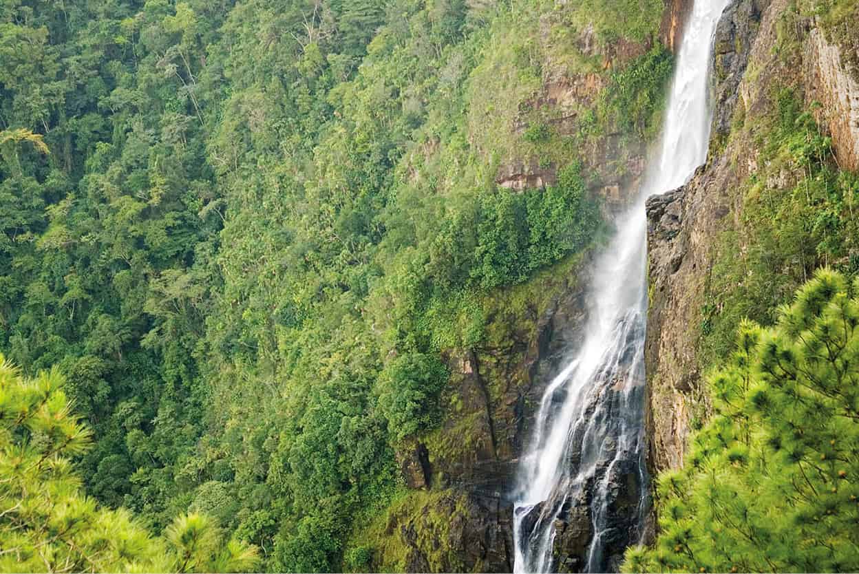 Mountain Pine Ridge Explore fragrant pine forests thundering waterfalls and - photo 10