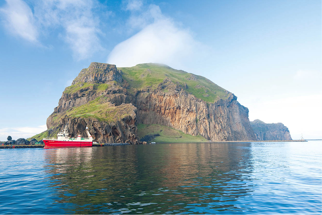 Heimaey Almost wiped off the map by the volcanic eruption of 1973 this - photo 9