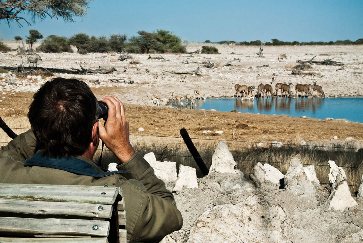 Etosha National Park Namibias premier safari destination centred on the - photo 5