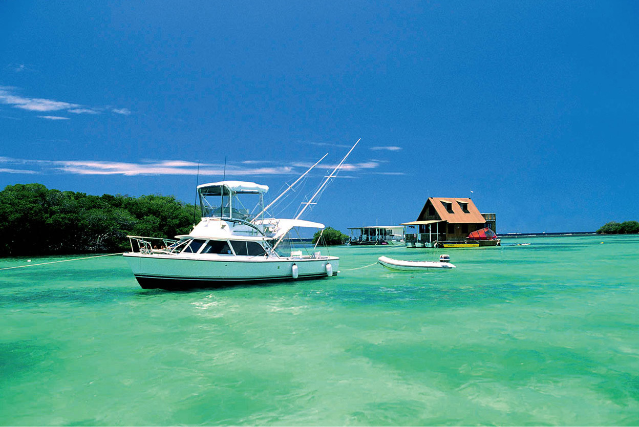 Phosphorescent Bay Vieques Known for its glowing waters the high - photo 10