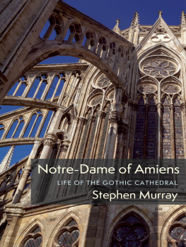 Stephen Murray - Notre-Dame of Amiens: Life of the Gothic Cathedral