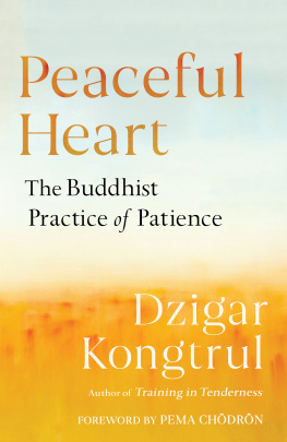 Dzigar Kongtrul - Peaceful Heart: The Buddhist Practice of Patience