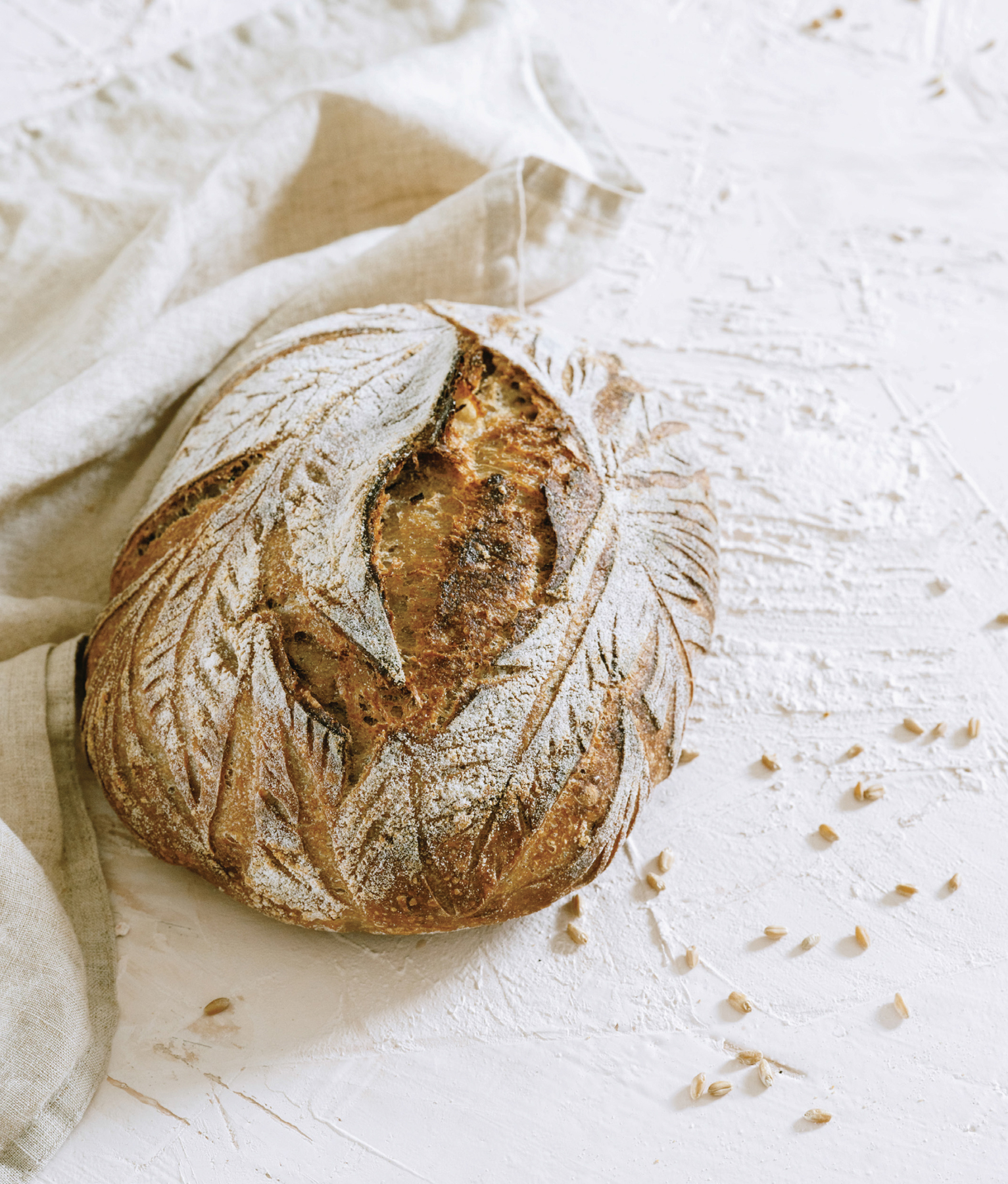 SOURDOUGH EVERY DAY Your Guide to Using Active and Discard Starter for Artisan - photo 2