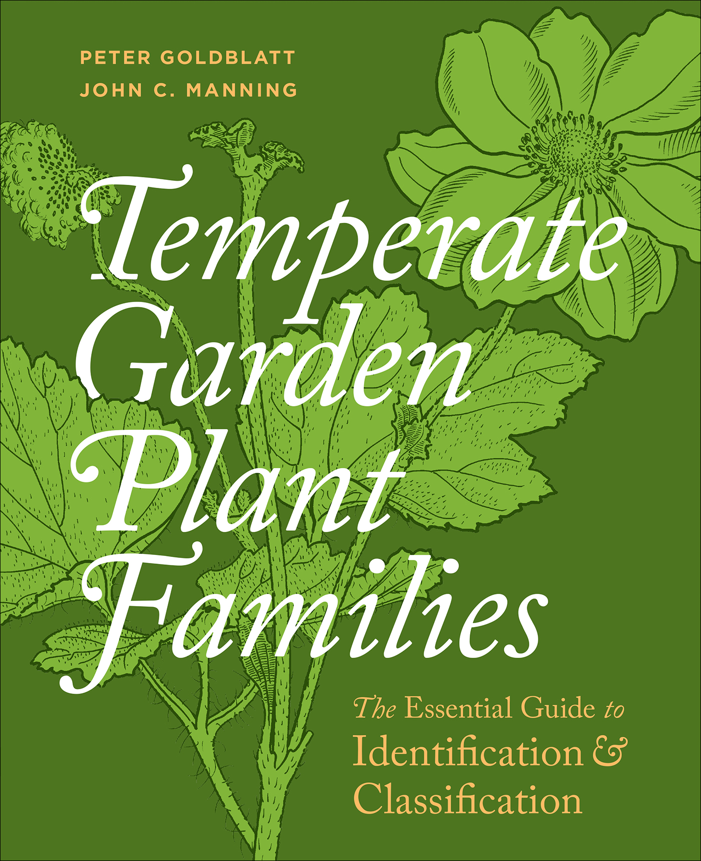 Temperate Garden Plant Families The Essential Guide to Identification and - photo 1