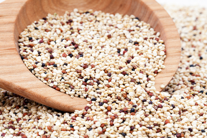 Quinoa History The origins of Quinoa date back over 3000 to the ancient Incan - photo 2