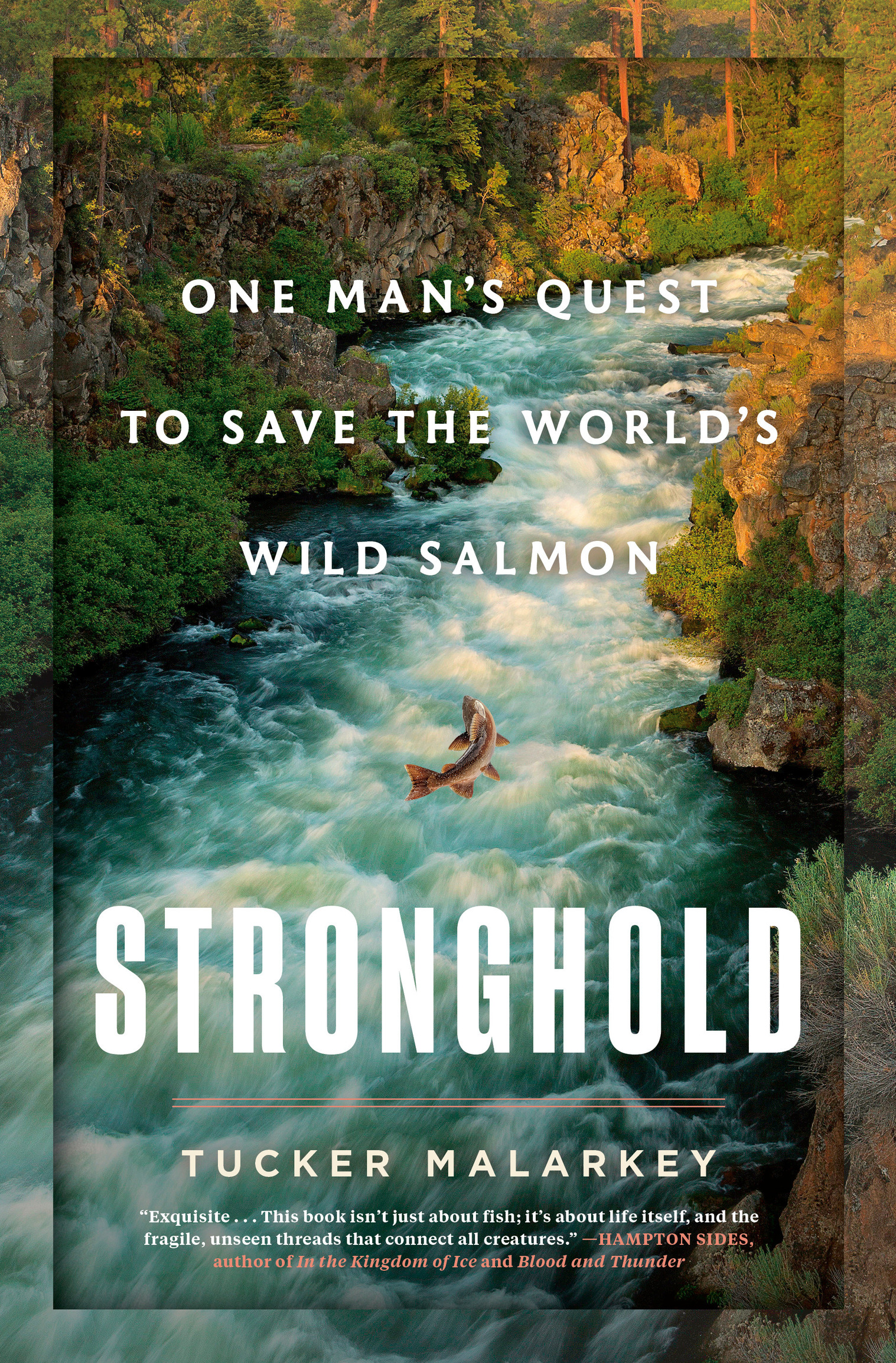 Stronghold One Mans Quest to Save the Worlds Wild Salmon - photo 1