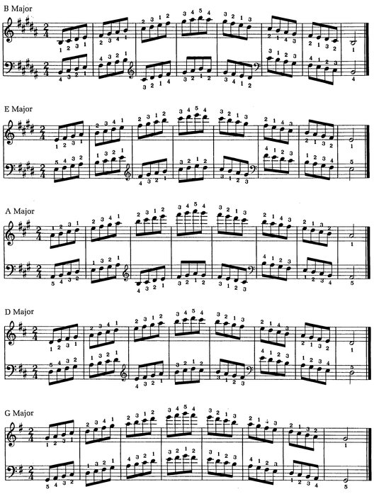 Dorian minor Chord Choice Minor 6 Minor 7 Minor 69 Minor 9 Minor 11 - photo 8