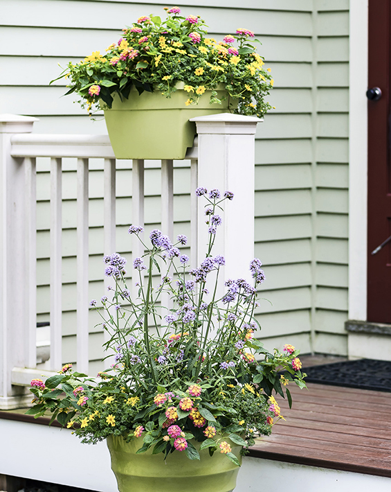 Coordinated containers can transform an outdoor space instantly And when it - photo 6