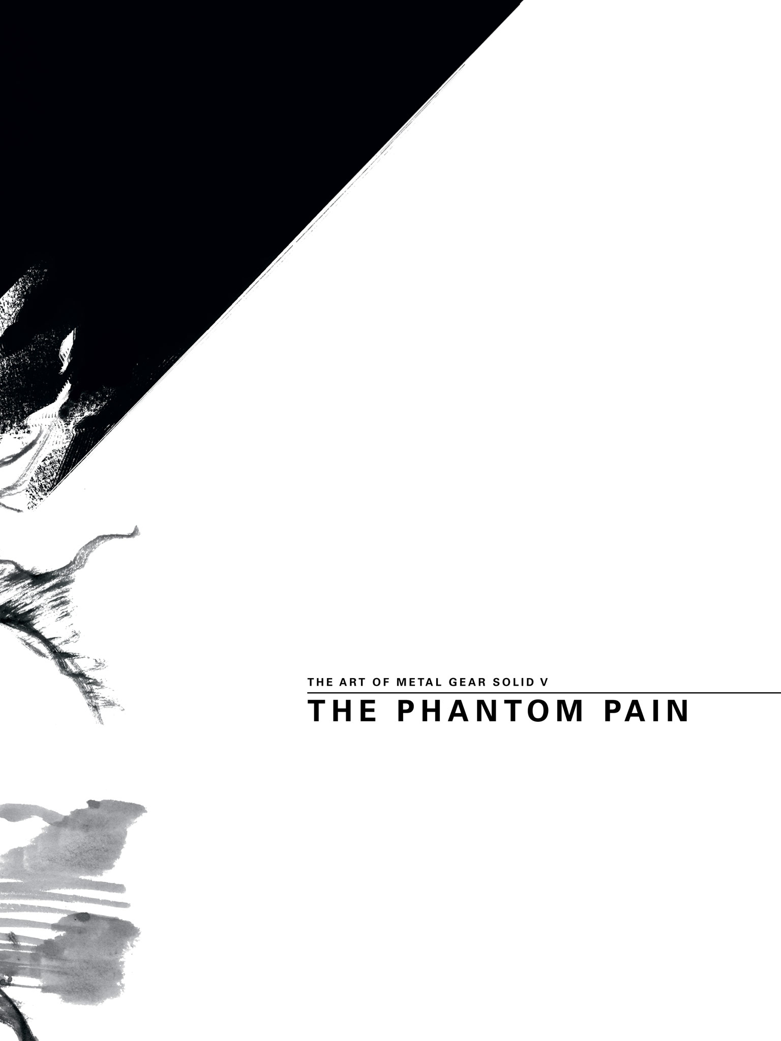 The Art of Metal Gear Solid V - photo 47