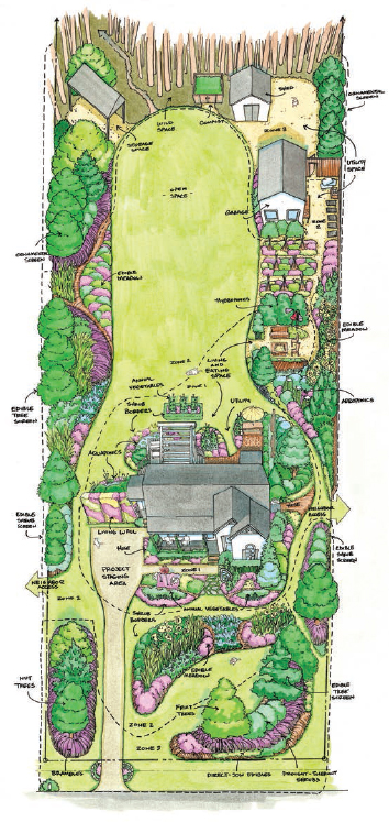 Here is my own Foodscape I used a scaled drawing converted from my property - photo 5